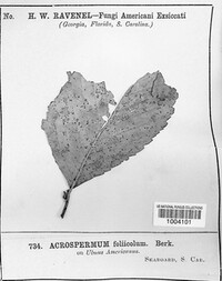 Image Associated With the Occurence